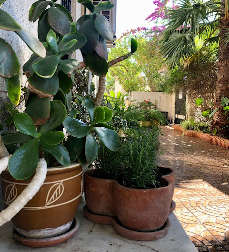 Centro De Mayores Monte Sión